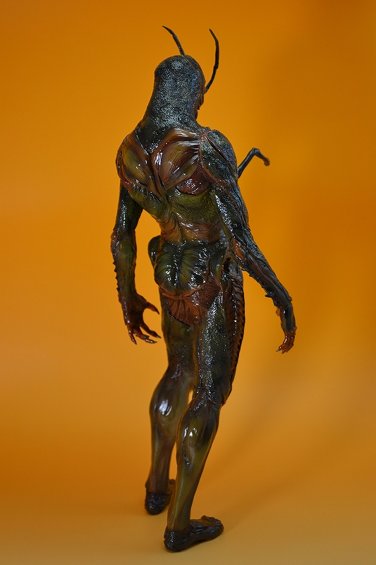 2012c13_1 017.jpg