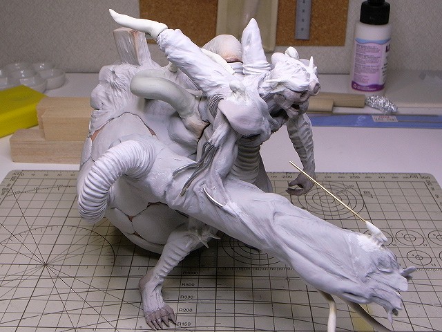 RIMG0419.jpg