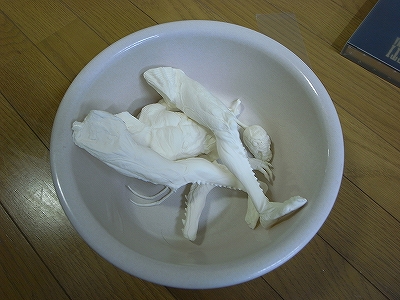 RIMG1151.jpg