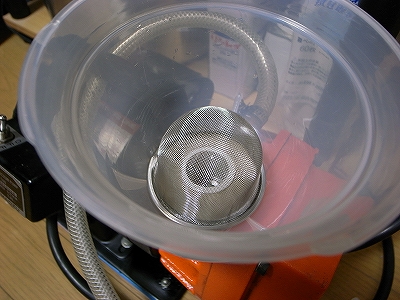 RIMG1264.jpg