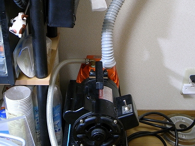 RIMG1287.jpg