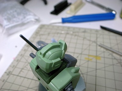RIMG2996.jpg