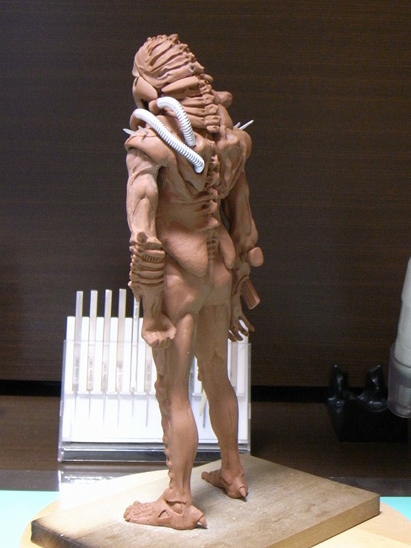 RIMG0841.jpg