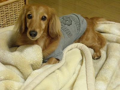 dscn5777.jpg